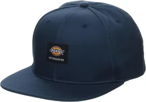 Dickies mens Skateboarding Flat Bill Cap