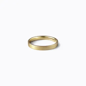 Flat Ring 30